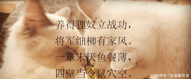 因家里受到老鼠的骚扰，此人特地写诗向好友要猫，句句可爱到爆