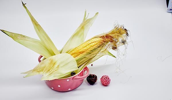 搭配|黄芪也有“天生一对”，经常喝，补气祛湿，不少好处会登门拜访