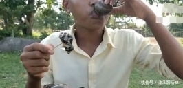 画风|男子挑战200个“福寿螺”,掰开后画风突变,网友:这肉吃不得