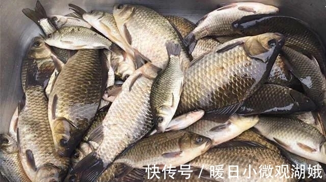 夏天|别再相信蚯蚓是万能饵了,夏天这样用饵,渔获少不了