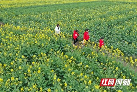 道县郊游 乐享假日