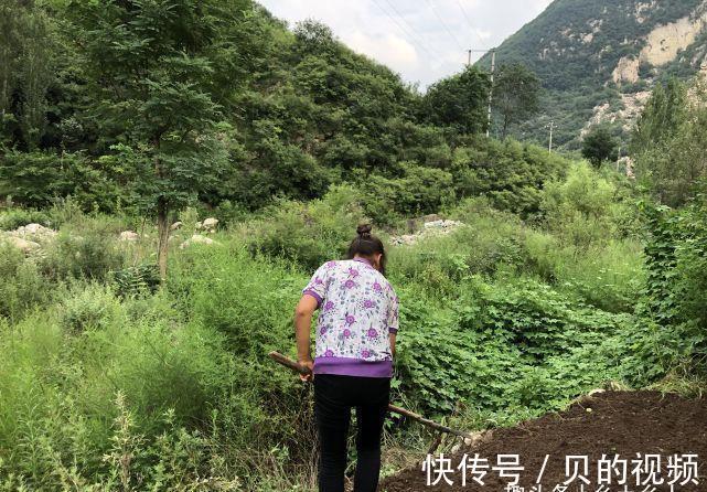 夫妻|俗语:“过了夏至节,夫妻各自歇”,为啥夏至过后,夫妻要各自歇