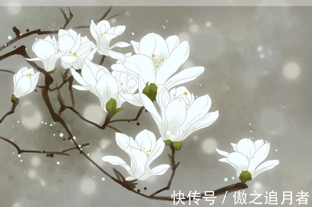 西塞山怀古!诗词丨8首时光诗词:欲买桂花同载酒,终不似,少年游