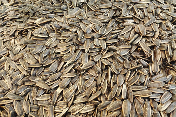 肝细胞|肝不好的人,要谨记4种食物要远离,可能会引起肝病