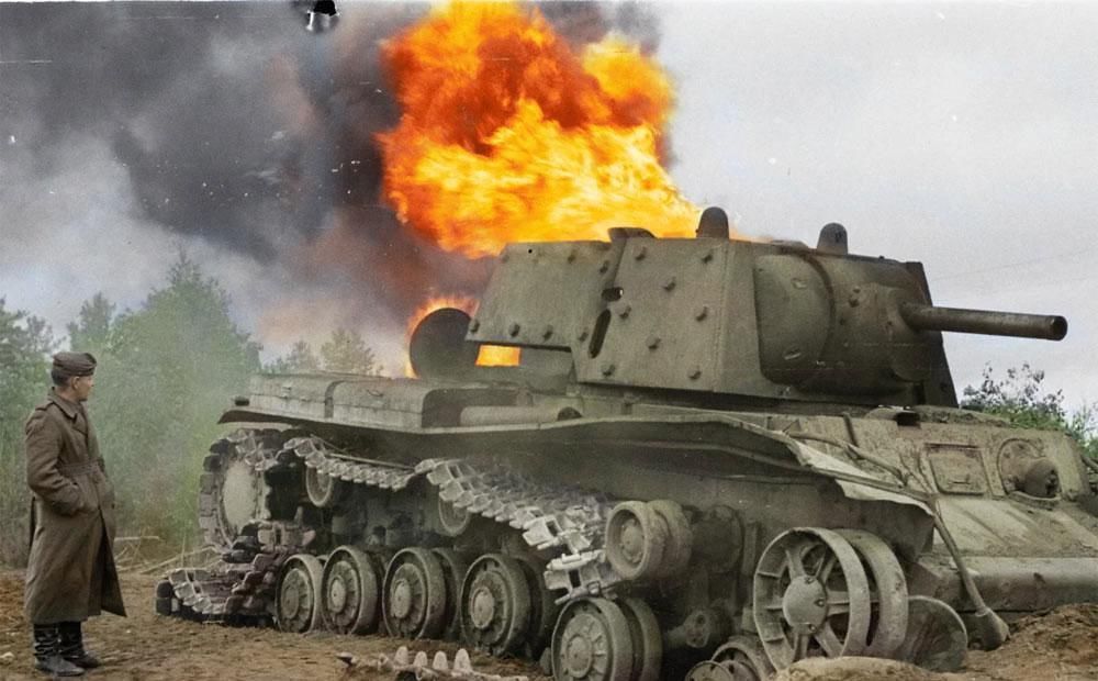 行云石居|一块像凤凰的树化玉,有个老板愿出五万购买