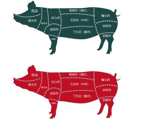 老板|买五花肉时,记住这几句话,老板一听就知道是懂行的,不敢忽悠