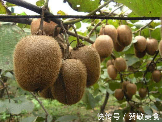 养护|女生要善待自己，多吃4种“黄体酮”，养护子宫，远离“宫颈癌”