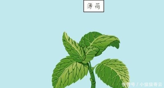 身体|女性有孕时,这几种调料少吃为妙,容易伤害孩子的身体发育