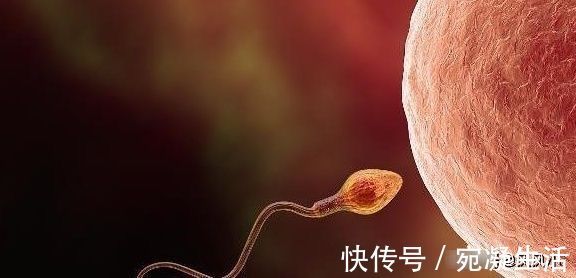 胎停育|为什么现在“胎停”的人越来越多?多数和这4点有关,早知早好