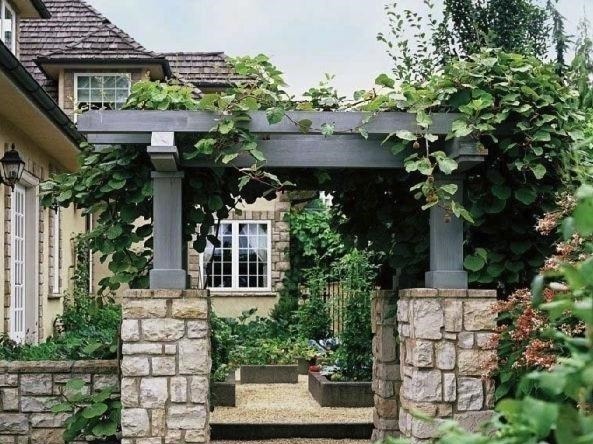 建议家有院子的别铺水泥!瞧瞧下图,真有才,街坊四邻纷纷效仿