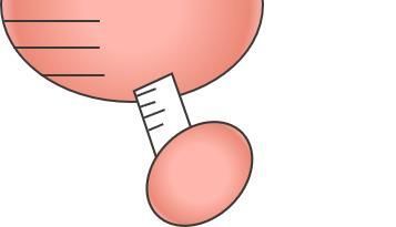 皮肤|你的日常=最强衰老预警难怪你没有姐姐们的逆天状态