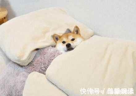 地板|睡觉时这几个习惯赶紧戒掉, 不然很容易生病!