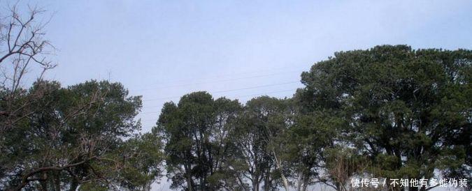 纪晓岚|看了纪晓岚墓地,再去看和珅的墓地,简直天壤之别!