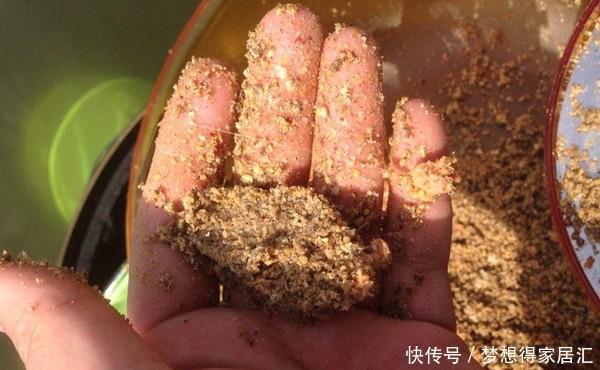 要注意|大雪过后钓鲫鱼,如何聚鱼才是关键,打窝养窝和补窝缺一不可