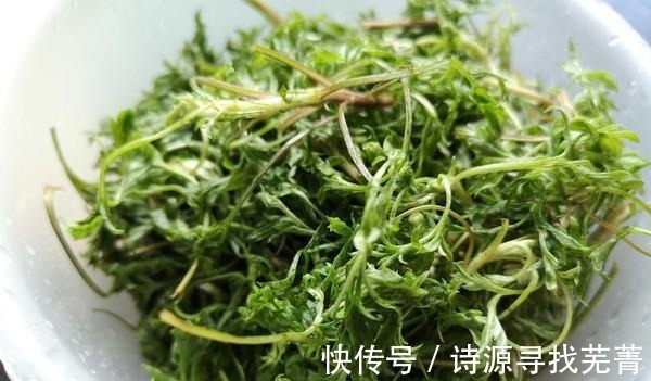 日本人|日本人每天必吃的“长寿菜”,我国产量大但没人吃,含钙比牛奶高!