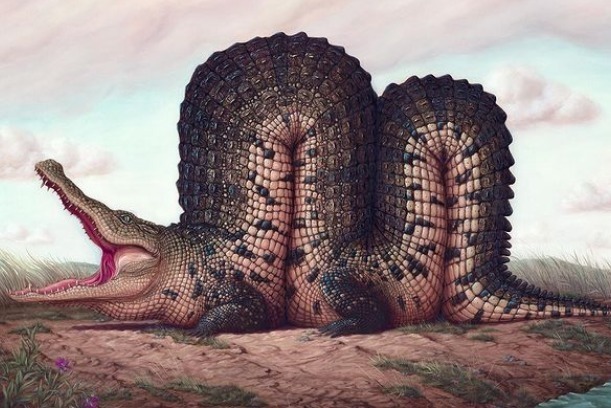 动物们&胆小谨点,插画师笔下的诡异动物看完一秒清醒!