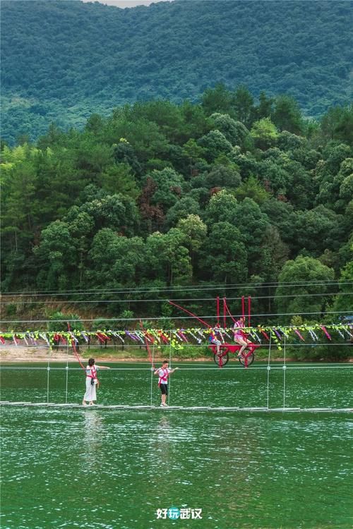 中薪|青山绿水间，我们寻访乡村振兴的“金山银山”