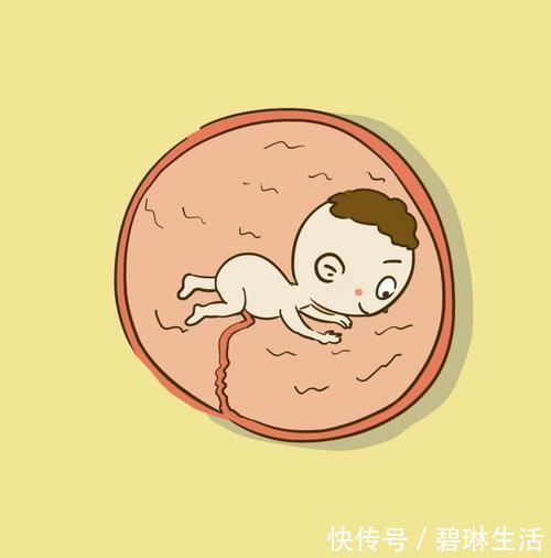 牙齿|胎儿的血型怎么推算?孕妇什么行为会影响胎儿牙齿的生长发育?