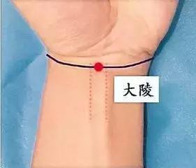 功效|“火”在肺里,咳嗽;“火”在肝里,失眠;“火”在胃里,口臭