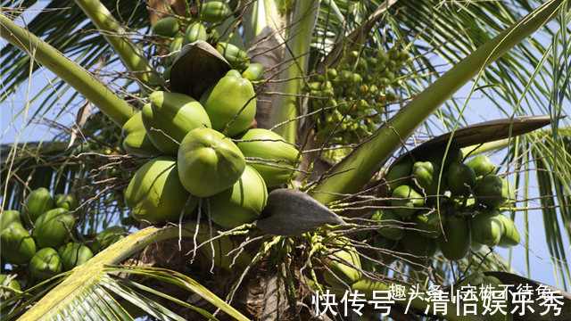 23个冷知识:虽然无处使用,但却十分有趣的奇怪知识