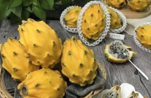 滋补|秋季是滋补的黄金期,常吃三种食材,滋补养颜去燥安稳度秋日