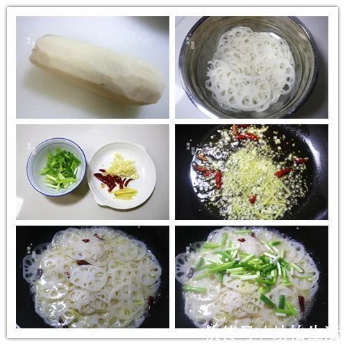 绿豆芽|6道家常纯素菜，食材简单味道好，多吃不胖，晚餐正合适