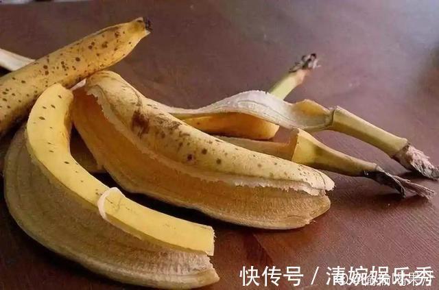 10种“垃圾”不要丢,拿来养花效果好,还能省下一笔钱