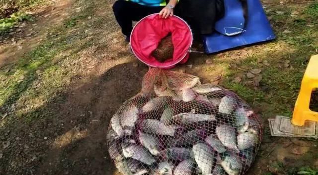 须知|钓鱼打窝时,注意这3点,熟记5须知,钓好鱼不难