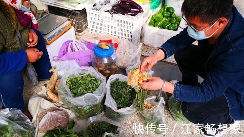 鲜嫩|此菜浑身都是宝，很多人却当草，鲜嫩营养高，蒸着吃特香！
