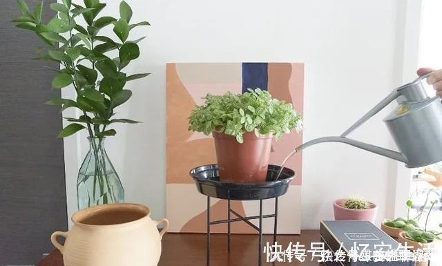 凉开水|用自来水、雨水、桶装水和凉开水养花的差别,哪种水养花最好呢