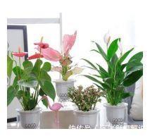 小公寓|这个50㎡小户真「壕」，衣帽间和独立厨房一样不差，看完很羡慕！