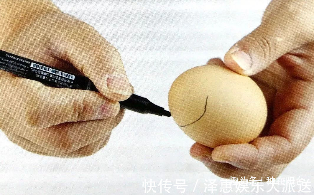 台友们|她用废弃的蛋壳“孵出”美丽的多肉植物,实在太迷你可爱了!