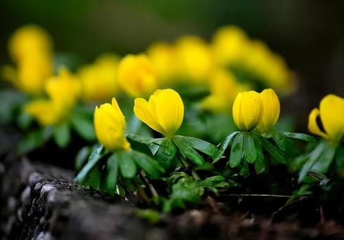 为什么要说“春捂秋冻”?