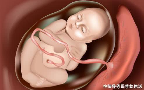 分娩|剖腹产为何要在孕38周而不是40周?别看只差两周,差距不是一点点