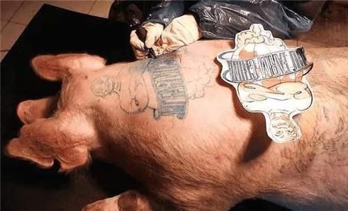 包包|他给猪纹身,因花纹独特,猪皮被香奈儿70万买走,做成限量版包包!