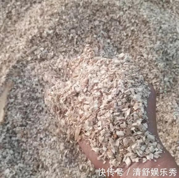 腐叶土|3种“碎渣渣”，是养花的好材料，掺土里花儿蹭蹭长，开爆盆！