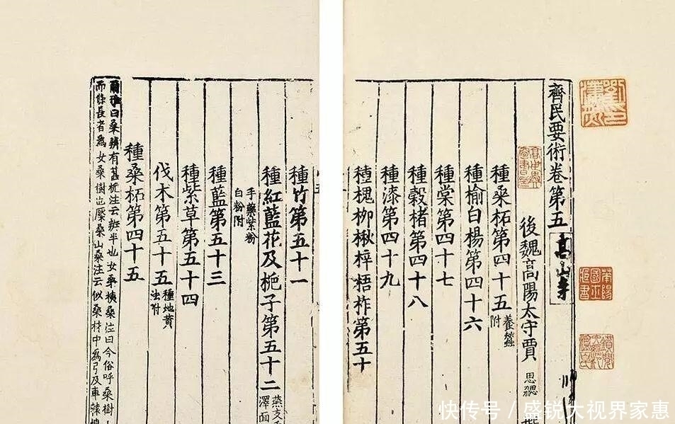 查理曼帝国|同样被“蛮族入侵”造成分裂后,为何中国能重回一统而西方不能