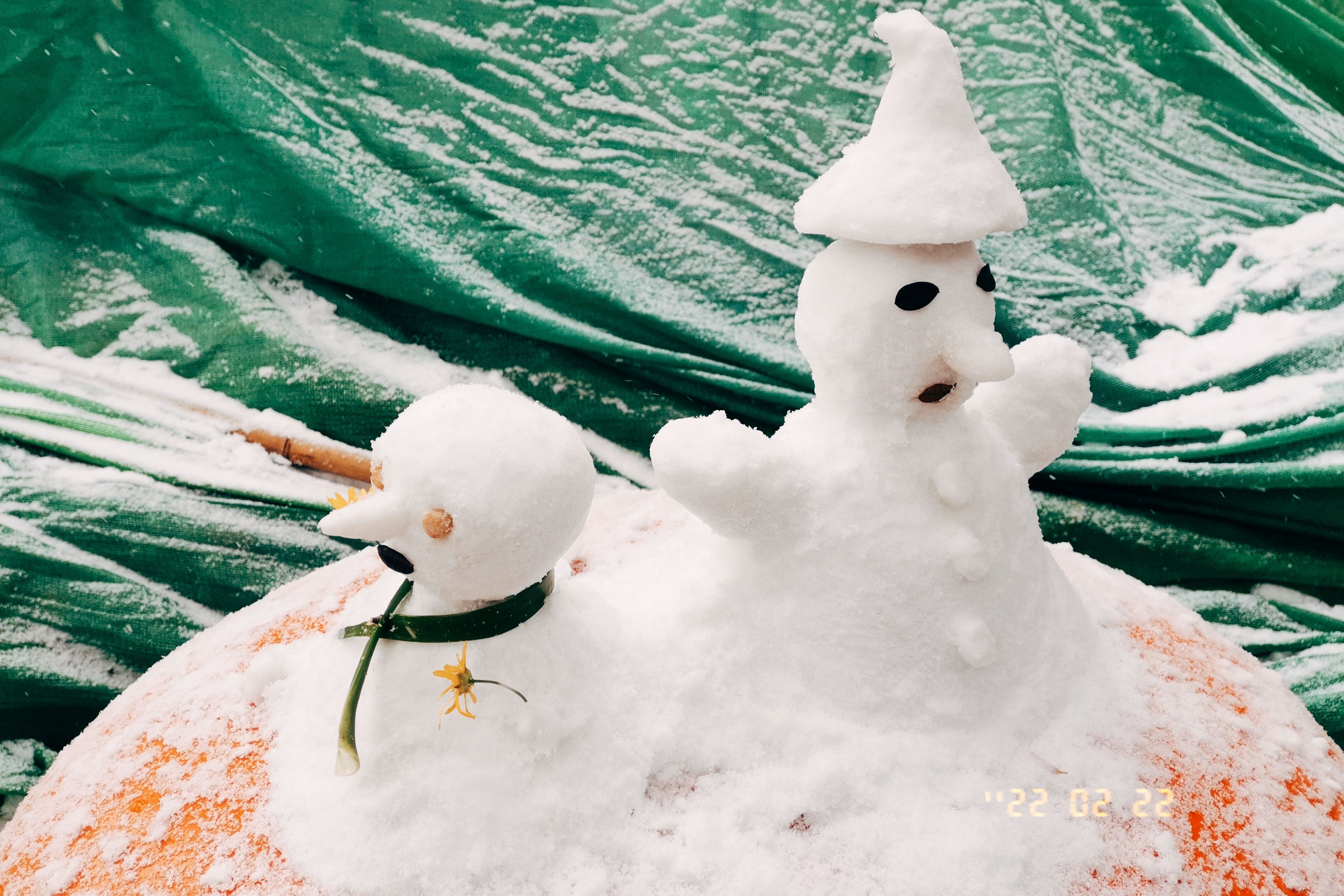 昆明|春城昆明市民朋友圈秀雪景，当地已启动冰冻灾害Ⅲ级响应