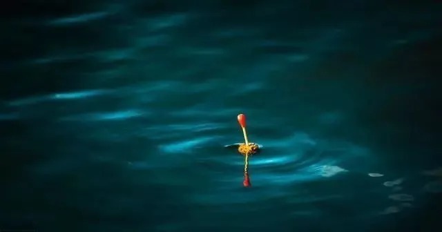 野钓|钓鱼高手都不外露的野钓找底法,这样钓鱼最有效,不会的赶紧学学!