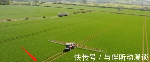 養(yǎng)羊|9.6分,這節(jié)目可把大明星虐爽了