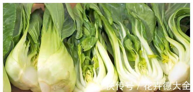 金针菇|宁可十天不吃肉,不可一日不食菌!8道菌类菜肴,荤素都有,收藏