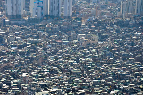 烟花有的像什么有的像