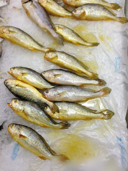 海鱼|喜欢吃鱼,推荐买这4种,目前不能人工养殖,肉质新鲜营养,好吃