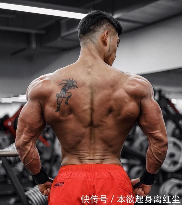 健身|天天健身就能快速增肌避免2个错误,瘦人也能摆脱竹竿身材