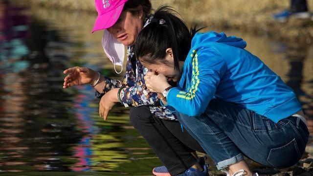 皮肤|藏在身边的“胶原蛋白”,女人常吃,或能紧致肌肤,不做黄脸婆