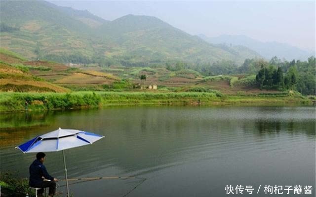 惊蛰到,鱼儿跳!仲春三月鱼应该这样钓,注意变化之中找规律