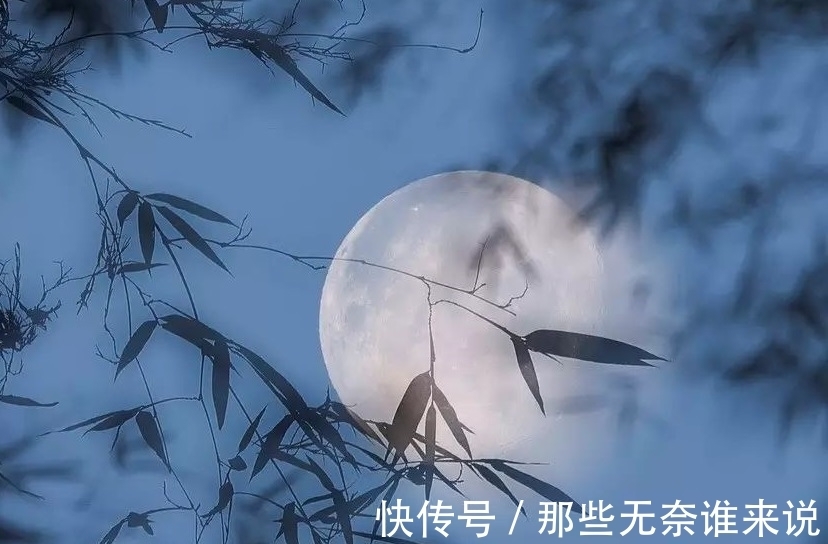 西窗竹 By十九瑶 知乎