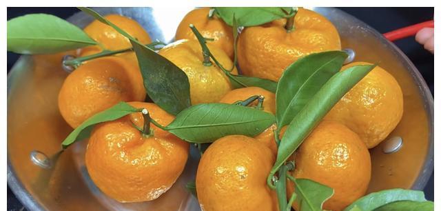 小黎|橘子皮加生姜,88岁老人长寿秘方,每天一杯,腿脚有力身体好