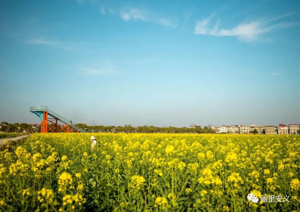 精华|太美了！近处风景！花样南昌……