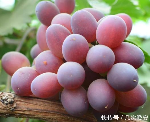  身材|女性想要“S身材”，3种食物能帮你一马，抗衰老，补血气统统搞定